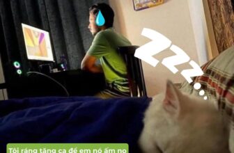 [🆕🇻🇳] PetGrocer.vn – Dịch vụ thú cưng – Vật phẩm dành cho thú cưng 🐶🦜 Top1Pets 🐱🐠 Cũng vì miếng pa-tê, con cá cho emHotel-Spa Thú Cưng Tại Thủ Đức /-heart
Định vị shop:
#spathucung #petshop #cuahangthucung #khachsanthucung #petho , shares-0✔️ , likes-2❤️️ , date-2025-09-13 02:30:03🐶🐱🇻🇳🇻🇳🇻🇳📰🆕