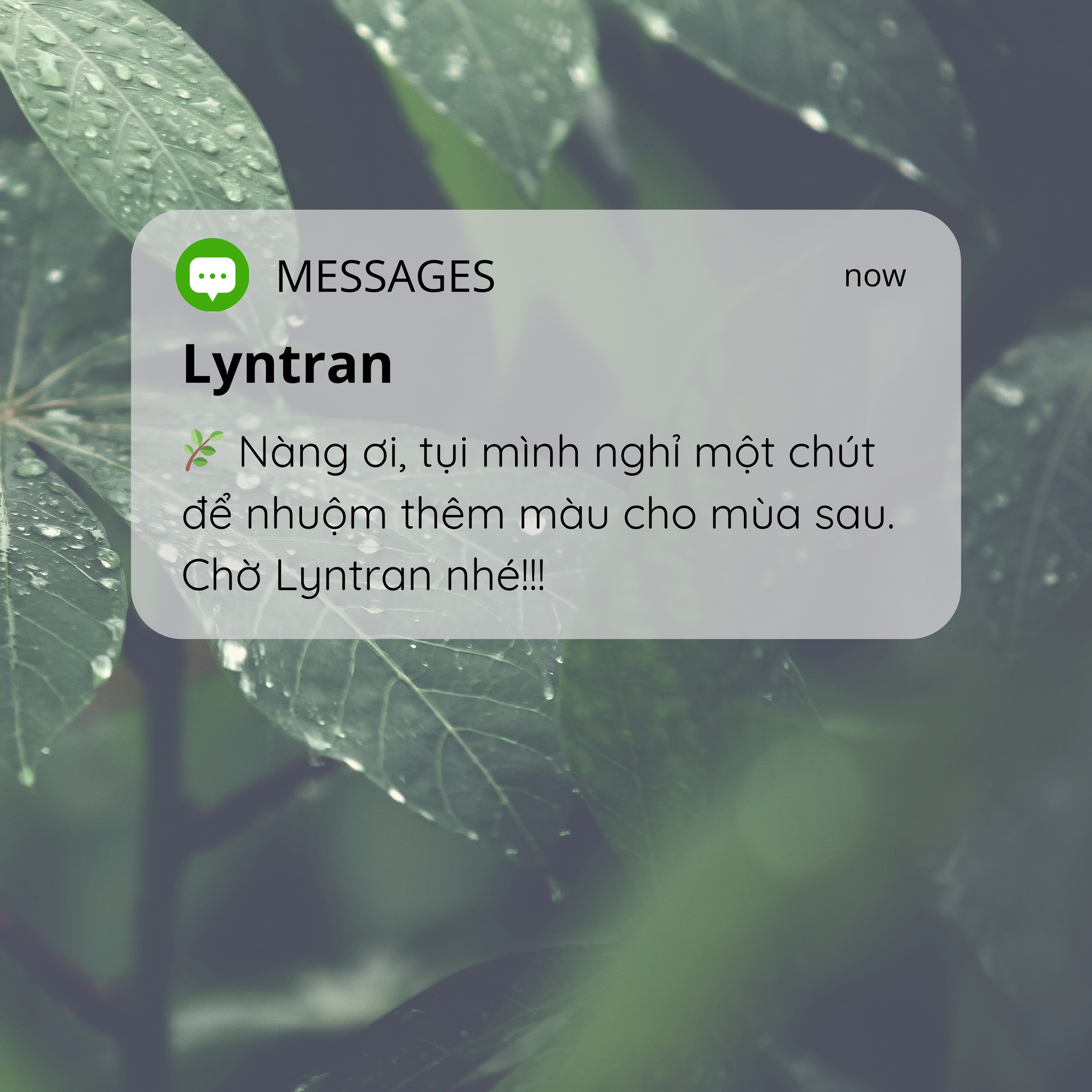 [🆕🇻🇳] LYN TRAN – Live Your Nature – Hãy sống trọn chất riêng 👕 Top1Fashion 👗   , shares-1✔️ , likes-127❤️️ , date-2025-09-13 19:00:02🇻🇳🇻🇳🇻🇳📰🆕