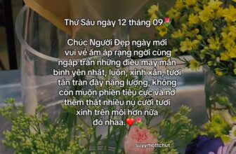 [🆕🇻🇳] Yoga Gò Vấp – Vì sức khỏe và sắc đẹp của bạn!  🧘 Top1Yoga 🤸🏻‍♀️ #peyoga #YogaGovap , shares-0✔️ , likes-0❤️️ , date-2025-09-12 14:11:21🇻🇳🇻🇳🇻🇳📰🆕