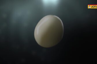 [🆕🇻🇳] Jotun Việt Nam – Nhà cung cấp hàng đầu về giải pháp sơn ♥️️ Top1Index 📚  JOTASHIELD B\u1ec0N M\u00c0U TO\u00c0N DI\u1ec6N – C\u00d4NG NGH\u1ec6 B\u1ea2O V\u1ec6 \u01afU VI\u1ec6T \u0110\u01af\u1ee2C KI\u1ec2M CH\u1ee8NG!\n\nB\u1 , shares-63✔️ , likes-831❤️️ , date-2025-09-13 02:05:55🇻🇳🇻🇳🇻🇳📰🆕