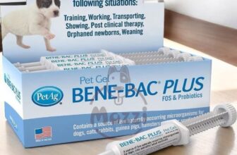 [🆕🇻🇳] Mozzi Pet Shop – Bán tất cả mọi thứ cho chó mèo🐶🦜 Top1Pets 🐱🐠 Một sản phẩm siêu cần thiết trong tủ thuốc gia đình
Bene-Bac Plus Gel là dạng gel ngon miệng – bao gồm 7 loại lợi khuẩnThương hiệu Pet Ag+ Made in USA, shares-1✔️ , likes-6❤️️ , date-2025-09-12 18:55:03🐶🐱🇻🇳🇻🇳🇻🇳📰🆕