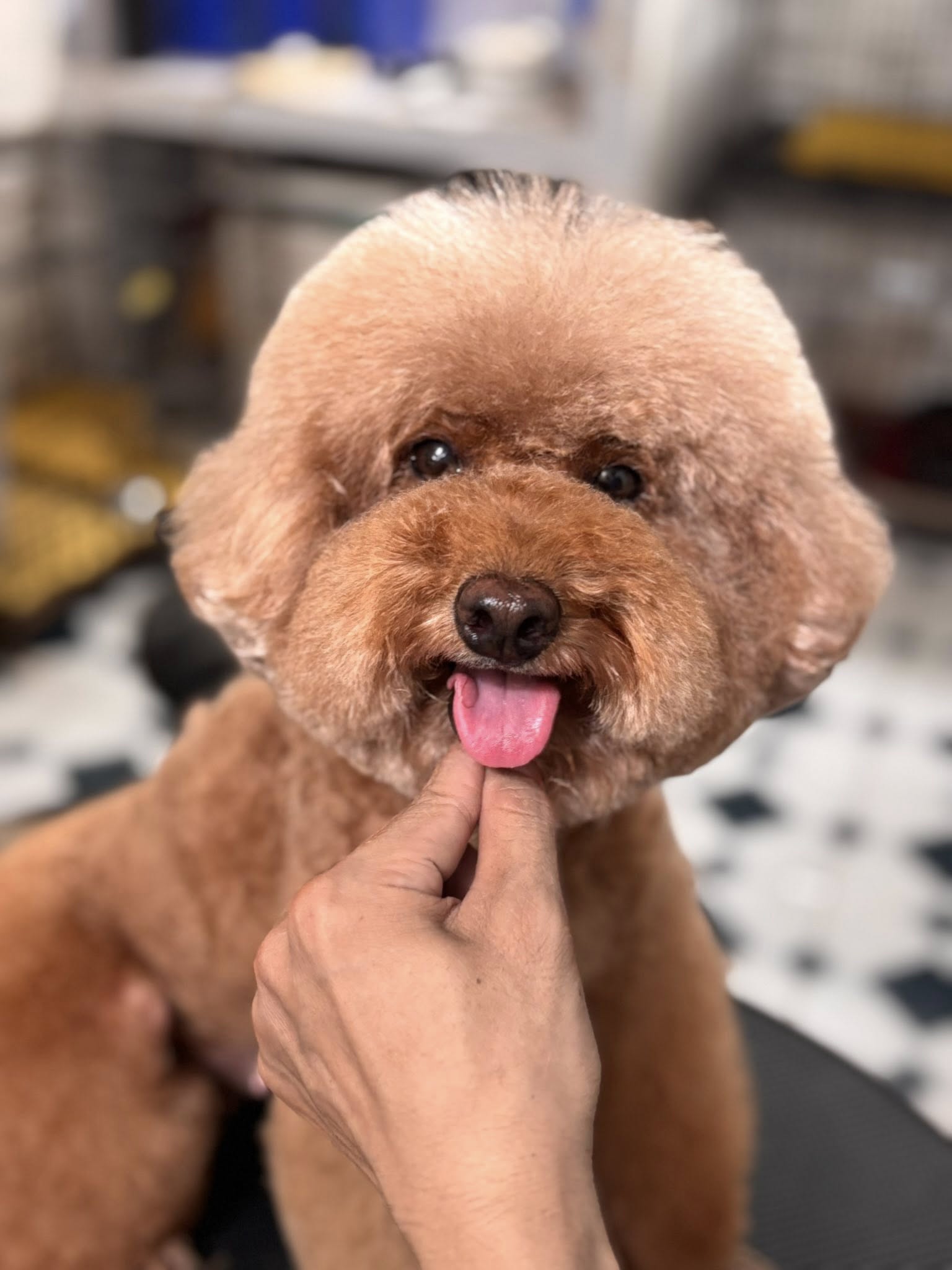 [🆕🇻🇳] RED HOUSE – thương hiệu thời trang thiết kế nữ được thành lập từ năm 2013 với phong cách hiện đại, trẻ trung và thanh lịch 👕 Top1Fashion 👗   Cá tính, năng động mà vẫn vô cùng cuốn hút
___SƠ MI KẺ + QUẦN JEANS ỐNG RỘNG___Set đồ đơn giản nhưng lại cực kỳ phong cách, phù hợp cho những ngày bạn , shares-0✔️ , likes-14❤️️ , date-2025-09-12 15:56:43🇻🇳🇻🇳🇻🇳📰🆕