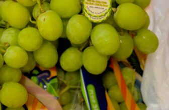 [🆕🇻🇳] Trái Cây Nhập Khẩu Tuy Hoà-Phú An Food 🍔 Top1Food  🍜  , shares-0✔️ , likes-0❤️️ , date-🇻🇳🇻🇳🇻🇳📰🆕