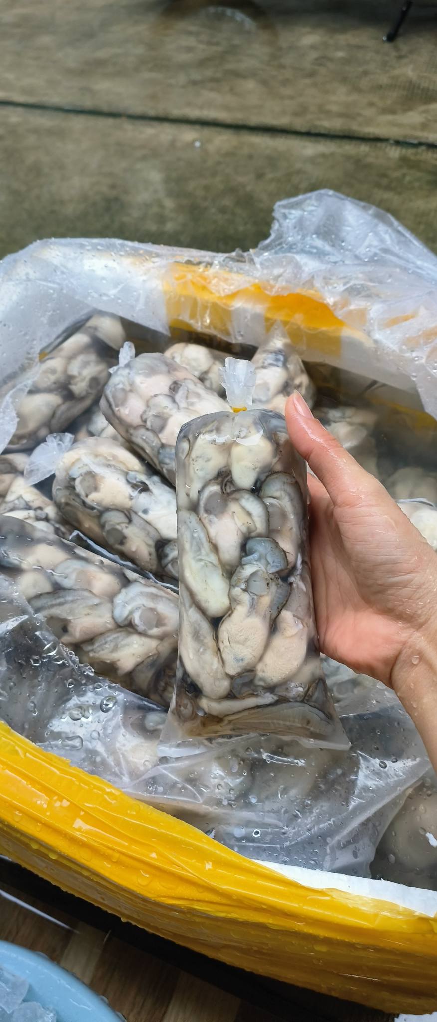 [🆕🇻🇳] Chả Cá Nha Trang sỉ lẻ sll 🍔 Top1Food  🍜 Nét lắm luôn ạ
Hào sữa ạ
Sỉ lẻ ib e ạ
Zalo 093738 2489
 , shares-0✔️ , likes-0❤️️ , date-2025-09-15 19:24:23🇻🇳🇻🇳🇻🇳📰🆕