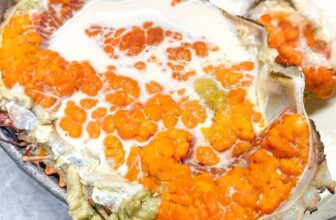 [🆕🇻🇳] Boss Seafood Vietnam – chuỗi nhà hàng chuyên các món Hải Sản 🍔 Top1Food  🍜 Cua gạch cua cốm  về siêu chất lượng
Làm món gì cũng ngon
Nhà mình inbox Boss ship nha
, shares-1✔️ , likes-0❤️️ , date-2025-09-11 23:57:20🇻🇳🇻🇳🇻🇳📰🆕