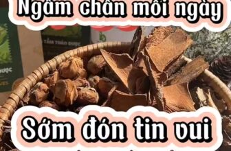 [🆕🇻🇳] BU baby wear HCM – Nhà phân phối quần áo, phụ kiện sơ sinh chính hãng 🧑‍🧒❤️️👶⭐️  , shares-0✔️ , likes-0❤️️ , date-2025-09-13 17:40:58🇻🇳🇻🇳🇻🇳📰🆕