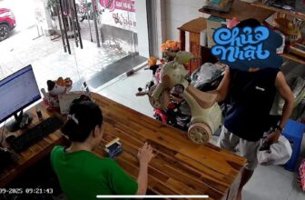 [🆕🇻🇳] Út Nhỏ Baby Mom – CHUYÊN ĐỒ DÙNG CHO MẸ & BÉ 🧑‍🧒❤️️👶⭐️ Cuối tuần tấp nập tại Út Nhỏ
Khách tích điểm nhận xe.
Quà tặng kèm các đơn.
, shares-2✔️ , likes-0❤️️ , date-2025-09-15 03:58:30🇻🇳🇻🇳🇻🇳📰🆕