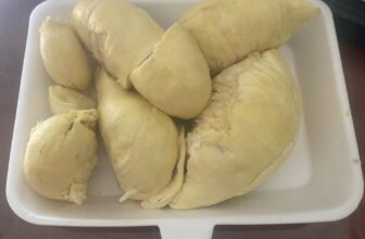 [🆕🇻🇳] Thảo Nhi Fruits – Chuyên cung cấp các loại thực phẩm sạch an toàn cho sức khoẻ 🍔 Top1Food  🍜 Em hết sầu chín rồi – đừng hối em nữa tội nghiệp.
Em khui bị sống 2 hộp sầu rồi.
Sale Sale nhanh.#120k/hộp (cơm cứng – nhưng ngọt nhé)Này mà nướng t , shares-0✔️ , likes-2❤️️ , date-2025-09-15 22:32:07🇻🇳🇻🇳🇻🇳📰🆕