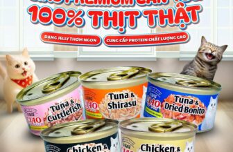 [🆕🇻🇳] PawPaw Petshop – Thức ăn, Phụ kiện & Spa cho thú cưng 🐶🦜 Top1Pets 🐱🐠  CIAO pate lon – 100% thịt thật đóng lon cao cấp, ngon như nhà hàng cho boss!Được làm từ cá ngừ đại dương & ức gà tươi, kết hợp cùng jelly thơm mềm dễ n , shares-0✔️ , likes-0❤️️ , date-2025-09-28 02:40:14🐶🐱🇻🇳🇻🇳🇻🇳📰🆕