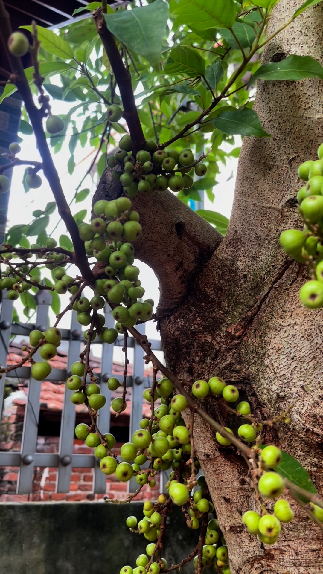 [Thông báo] Tổ chức kỳ thi năng lực tiếng Đức ÖSD trình độ B1 – Tháng 10/2025 – DWN VIỆT NAM  [👨‍🎓🇻🇳] dwn.com.vn