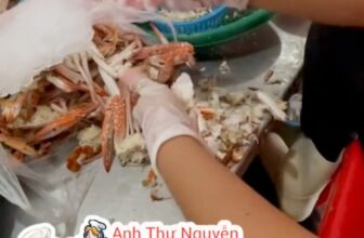 [🆕🇻🇳] ANH THƯ FOOD – Thịt Càng Cua / Thịt Ghẹ -Tôm Tích 🍔 Top1Food  🍜  , shares-0✔️ , likes-0❤️️ , date-🇻🇳🇻🇳🇻🇳📰🆕