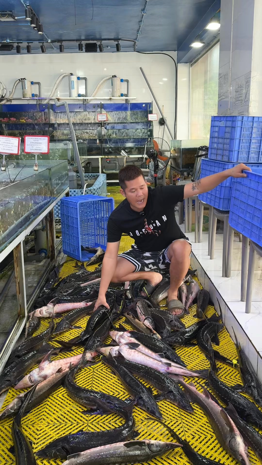 [🆕🇻🇳] Áo Dài Yến – Tinh Hoa Áo Dài Việt 👕 Top1Fashion 👗   , shares-0✔️ , likes-0❤️️ , date-🇻🇳🇻🇳🇻🇳📰🆕