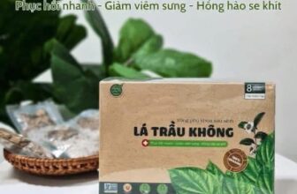 [🆕🇻🇳]  Gold Kids – Mom And Baby – combo Đi Sinh – Combo Ăn Dặm – Sữa & Tã – Quần Áo – Đồ Dùng Sơ Sinh – Ghế Ăn Dặm – Tủ Quần Áo – Xe Tập Đi – Xe Đẩy – Xe Đồ Chơi  🧑‍🧒❤️️👶⭐️  𝑳𝙖́ 𝙏𝒓𝙖̂̀𝒖 𝑿𝙤̂𝒏𝙜 𝙑𝒖̀𝙣𝒈 𝑲𝙞́𝒏 𝑪𝙝𝒐 𝑴𝙚̣ 𝘽𝒊̉𝙢 𝙎𝒂𝙪 𝙎𝒊𝙣𝒉Thành phần:
Lá trầu không, ngải cứu, ích mẫu, tràm trà, khuynh diệp, hương nhu, muối khoáng.Công dụng , shares-0✔️ , likes-4❤️️ , date-2025-09-15 23:52:41🇻🇳🇻🇳🇻🇳📰🆕