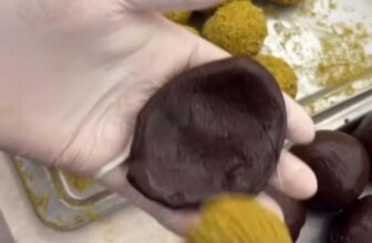 [🆕🇻🇳] Nha Nha Bakery – Tiệm bánh và Trà sữa 🍔 Top1Food  🍜 Series Dubai kh\u00f4ng th\u1ec3 thi\u1ebfu m\u00f3n n\u00e0y \ud83e\udef6\ud83c\udffb. B\u00e1nh quy d\u1ebbo Dubai. Gi\u00f2n b\u00ean trong b\u1edfi s\u , shares-0✔️ , likes-6❤️️ , date-2025-09-15 16:54:42🇻🇳🇻🇳🇻🇳📰🆕