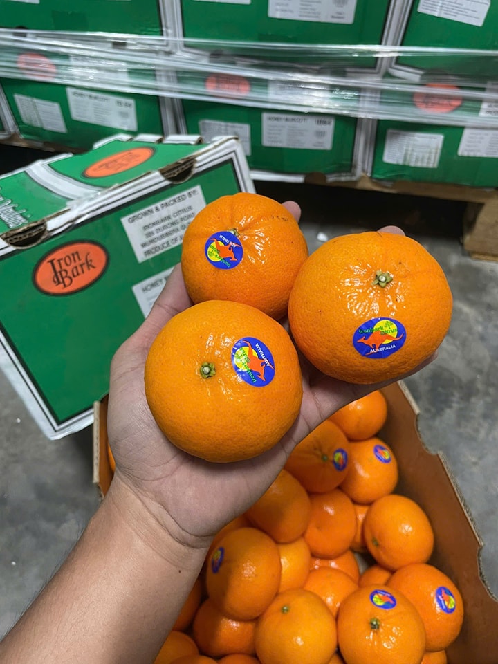 [🆕🇻🇳]  Váy công chúa Mẹ Bống – Váy công chúa thiết kế cho bé🧑‍🧒❤️️👶⭐️ U mê quên lối về khách ơi
, shares-0✔️ , likes-3❤️️ , date-2025-09-14 14:43:10🇻🇳🇻🇳🇻🇳📰🆕