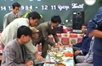 [🆕🇻🇳] Quà Miền Bắc-Đặc sản Tây Bắc, đặc sản miền Bắc, đặc sản Hà Nội 🍔 Top1Food  🍜  , shares-0✔️ , likes-0❤️️ , date-🇻🇳🇻🇳🇻🇳📰🆕