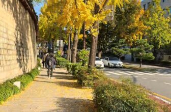 [🆕🇻🇳] Việt Sun Travel – Tour du lịch tử tế ✈ Top1Travel 🌏✈️  Mùa thu Hàn Quốc – lá vàng óng ả xen lẫn lá đỏ rực rỡ, vẽ nên bức tranh lãng mạn khó quên.
Cùng Viet Sun Travel lưu giữ khoảnh khắc tuyệt đẹp ấy ngay hô , shares-0✔️ , likes-0❤️️ , date-2025-09-20 23:01:19🇻🇳🇻🇳🇻🇳📰🆕