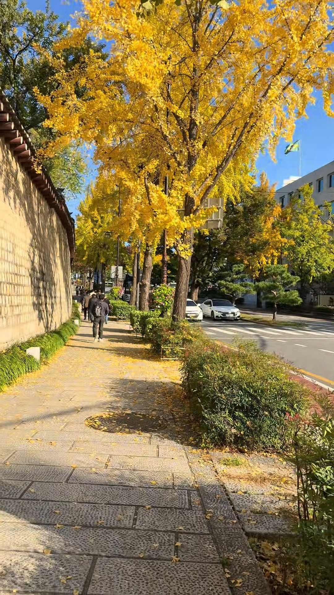 [🆕🇻🇳] Suri Store – Thương hiệu phân phối sản phẩm cao cấp ngành Mẹ & Bé 🧑‍🧒❤️️👶⭐️ Đi biển ngồi phơi nắng 6 tiếng từ 12h đến tận 6h chiều da cháy khét luôn :d
Về nhà tưởng hết cứu luôn các mẹ ạ mà sau 3 ngày bôi Oil đen nó tróc thành tản , shares-0✔️ , likes-0❤️️ , date-2025-09-20 23:01:28🇻🇳🇻🇳🇻🇳📰🆕