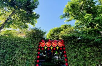 [☕️🇻🇳]  Minh Coffee 🥤 Top1Coffee ☕️ Vẫn là màu xanh đam mê ở Minh Coffee 
 , shares-0✔️ , likes-47❤️️ , date-2025-09-16 14:15:26🇻🇳🇻🇳🇻🇳📰🆕