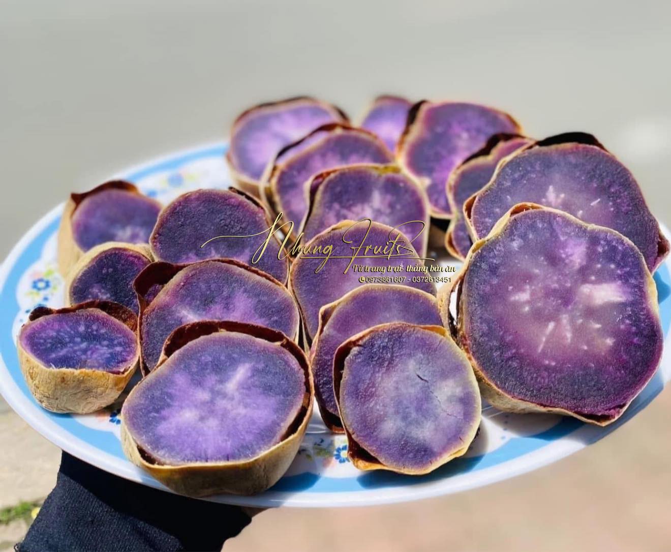 [🆕🇻🇳] Nhung Fruits – Trái cây Việt cao cấp 🍔 Top1Food  🍜 KHOAI TÍM ÚC EM ĐÁP CHUYẾN MỚI
420k/kg khoai mịn dẻo ngọt lịm
Sau quá tŕnh dày công nghiên cứu, họ phát hiện ra rằng những hợp chất có trong khoai lang tí , shares-0✔️ , likes-1❤️️ , date-2025-09-16 03:49:11🇻🇳🇻🇳🇻🇳📰🆕