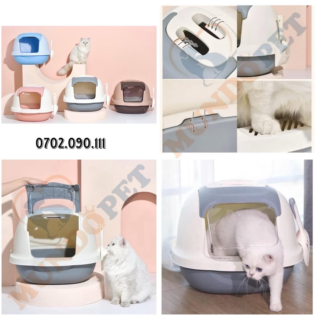 [🆕🇻🇳] Phụ Kiện Thú Cưng – MundoPet Shop – Dịch vụ Grooming & Spa chuyên nghiệp 🐶🦜 Top1Pets 🐱🐠  NHÀ VỆ SINH KHÉP KÍN CHO MÈO – GIẢI PHÁP HOÀN HẢO CHO NGÔI NHÀ LUÔN SẠCH SẼCác “sen” nuôi mèo đều hiểu cảm giác đau đầu khi:
Cát mèo bay tung toé khắ , shares-0✔️ , likes-0❤️️ , date-2025-09-17 16:10:53🐶🐱🇻🇳🇻🇳🇻🇳📰🆕