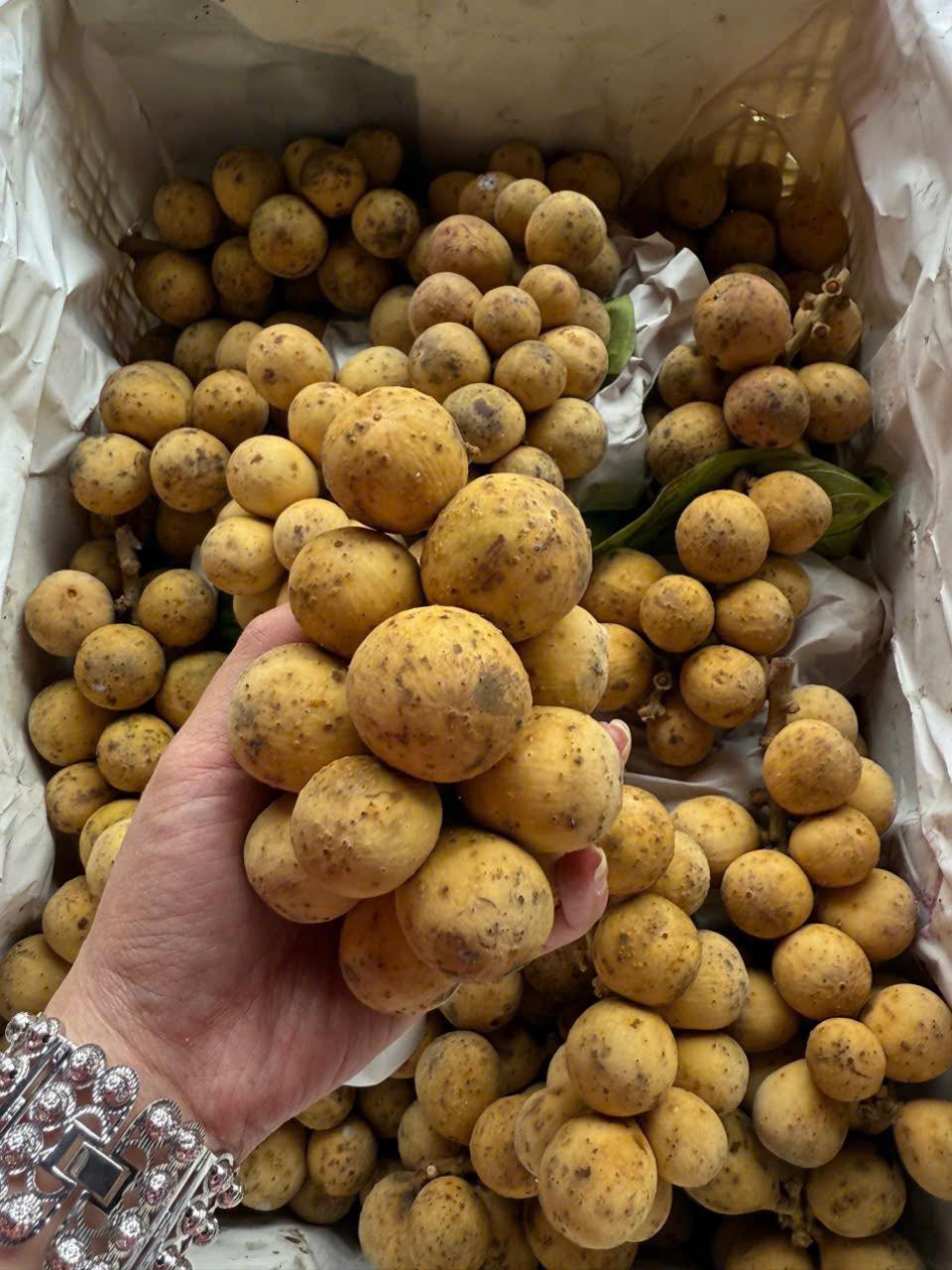 [🆕🇻🇳] Paws Pet House 🐶🦜 Top1Pets 🐱🐠 𝑪𝒉𝒊̉ 𝒕𝒖̛̀ 𝟑 𝒄𝒂́ 𝒍𝒂̀ 𝒅𝒐́𝒏 𝒄𝒂́𝒄 𝒃𝒆́Các bé từ 2 tháng tuổi đang đợi ba mẹ đón ạ .
Tim chủng đầy đủ .
Bảo hiểm sức khỏe .
Phả WCF nếu có yêu cầu
Tặng  , shares-3✔️ , likes-12❤️️ , date-2025-09-16 21:45:06🐶🐱🇻🇳🇻🇳🇻🇳📰🆕