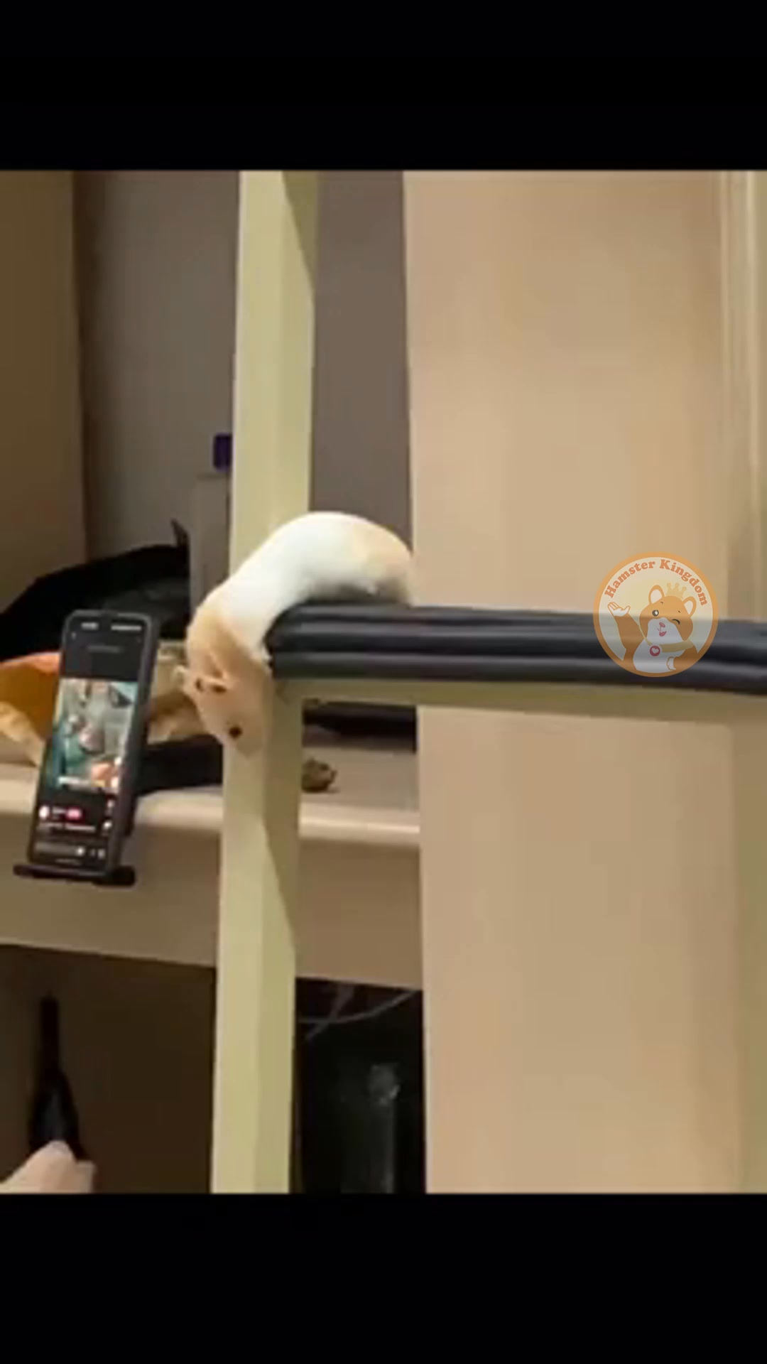 [🆕🇻🇳] Hamster Kingdom Tân Phú 🐶🦜 Top1Pets 🐱🐠 Cứ thấy quen quen, giờ mới nhớ ^^
————————————
Ủng hộ Hamster KingDom
Mở cửa: 8h30 – 21h00
𝐇𝐚𝐦𝐬𝐭𝐞𝐫 𝐊𝐢𝐧𝐠𝐝𝐨𝐦 𝐁𝐢̀𝐧𝐡 𝐓𝐡𝐚̣𝐧𝐡
𝑃ℎ𝑜𝑛𝑒: 0909 , shares-0✔️ , likes-0❤️️ , date-2025-09-20 03:01:59🐶🐱🇻🇳🇻🇳🇻🇳📰🆕