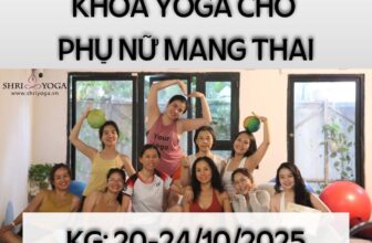 [🆕🇻🇳] Shriyoga – SATCHITANANDA – THỰC TẠI – Ý THỨC – PHÚC LẠC 🧘 Top1Yoga 🧘 𝐊𝐡𝐨𝐚́ 𝐘𝐨𝐠𝐚 𝐜𝐡𝐨 𝐏𝐡𝐮̣ 𝐧𝐮̛̃ 𝐦𝐚𝐧𝐠 𝐭𝐡𝐚𝐢 20-24/10/2025 cùng cô Kim Nguyen ShriyogaKhóa học sẽ giúp các chị em tìm hiểu về những thay đổi của người phụ nữ khi m , shares-0✔️ , likes-43❤️️ , date-2025-09-21 00:56:33🇻🇳🇻🇳🇻🇳📰🆕