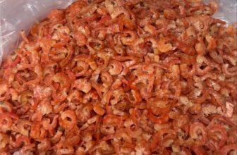 [🆕🇻🇳] Hồng Vi – Đặc Sản Cà Mau 🍔 Top1Food  🍜 \ud83c\uddfb\ud83c\uddf3\ud83e\udd90 H\u00f4m nay 16\/9 shop c\u00f3 ra t\u00f4m kh\u00f4 b\u1ea1c \u0111\u1ea5t n\u1ea5u canh nh\u1ecf h\u01a1n l\u00f4 h\ , shares-0✔️ , likes-53❤️️ , date-2025-09-16 18:47:44🇻🇳🇻🇳🇻🇳📰🆕