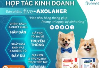 [🆕🇻🇳] FivePet – Fivevet for Pet 🐶🦜 Top1Pets 🐱🐠 [TH\u01af M\u1edcI H\u1ee2P T\u00c1C KINH DOANH T\u1eea FIVEPET]\nS\u1ea3n ph\u1ea9m: Five-Axolaner \u2013 Vi\u00ean nhai h\u00e0ng th\u00e1ng ph\u00f2ng t , shares-2✔️ , likes-38❤️️ , date-2025-09-17 17:19:28🐶🐱🇻🇳🇻🇳🇻🇳📰🆕