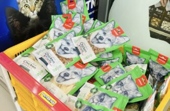 [🆕🇻🇳] Bủm PetShop Nha Trang 🐶🦜 Top1Pets 🐱🐠  SALE SỐC – SALE SỐC – SALE SỐC
CHƯƠNG TRÌNH SALE SỐC 60% – TRI ÂN     KHÁCH HÀNG TẠI BUMPER PETSHOPNgoại lệ chưa từng có- chỉ có ở Bumper: Hàng sấy khô , shares-1✔️ , likes-6❤️️ , date-2025-09-22 18:44:55🐶🐱🇻🇳🇻🇳🇻🇳📰🆕