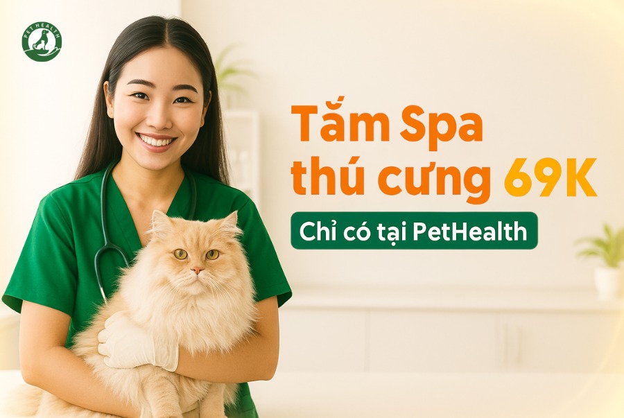 [🆕🇻🇳] Teddy Pet – Tiệm Chăm Sóc Thú Cưng 🐶🦜 Top1Pets 🐱🐠  Khách nhí sau khi spa xong: xinh lung linh – chủ mê tít
, shares-0✔️ , likes-1❤️️ , date-2025-09-22 17:21:56🐶🐱🇻🇳🇻🇳🇻🇳📰🆕
