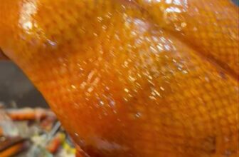 [🆕🇻🇳] Vịt Quay Gốc Lạng Sơn 🍔 Top1Food  🍜 HÔM NAY QUÁN CÓ:
– Vịt nguyên con 240k ( nửa con 125k)
– Sườn 240k/kg ( có bán lẻ)
– Combo lộn xộn ( nửa kg sườn, nửa con vịt) 230k
Tất cả đều ăn kèm rau,  , shares-0✔️ , likes-0❤️️ , date-2025-09-21 15:38:43🇻🇳🇻🇳🇻🇳📰🆕