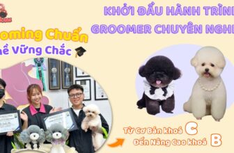 [🆕🇻🇳] Gạo Pet House 🐶🦜 Top1Pets 🐱🐠 𝐓𝐔𝐘𝐄̂̉𝐍 𝐒𝐈𝐍𝐇 𝐊𝐇𝐎𝐀́ 𝐇𝐎̣𝐂 #𝐆𝐑𝐎𝐎𝐌𝐈𝐍𝐆 𝐓𝐈̉𝐀 𝐋𝐎̂𝐍𝐆 𝐓𝐇𝐔́ 𝐂𝐔̛𝐍𝐆 𝐂𝐇𝐔𝐘𝐄̂𝐍 𝐍𝐆𝐇𝐈𝐄̣̂𝐏 𝐁𝐈̀𝐍𝐇 𝐃𝐔̛𝐎̛𝐍𝐆Đ𝐚̣̆𝐜 𝐛𝐢𝐞̣̂𝐭, 𝐤𝐡𝐮𝐲𝐞̂́𝐧 𝐦𝐚̃𝐢 𝐧𝐡𝐚̣̂𝐩 𝐡𝐨̣𝐜 𝐬𝐨̛́𝐦
#𝐆𝐈𝐀̉𝐌 𝐍𝐆𝐀𝐘 𝟐 𝐓𝐑𝐈𝐄 , shares-20✔️ , likes-5❤️️ , date-2025-09-21 16:36:36🐶🐱🇻🇳🇻🇳🇻🇳📰🆕