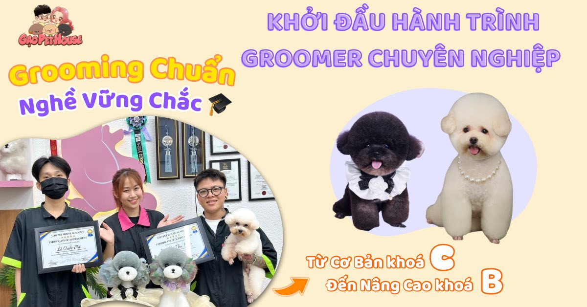 [🆕🇻🇳] Gạo Pet House 🐶🦜 Top1Pets 🐱🐠 𝐓𝐔𝐘𝐄̂̉𝐍 𝐒𝐈𝐍𝐇 𝐊𝐇𝐎𝐀́ 𝐇𝐎̣𝐂 #𝐆𝐑𝐎𝐎𝐌𝐈𝐍𝐆 𝐓𝐈̉𝐀 𝐋𝐎̂𝐍𝐆 𝐓𝐇𝐔́ 𝐂𝐔̛𝐍𝐆 𝐂𝐇𝐔𝐘𝐄̂𝐍 𝐍𝐆𝐇𝐈𝐄̣̂𝐏 𝐁𝐈̀𝐍𝐇 𝐃𝐔̛𝐎̛𝐍𝐆Đ𝐚̣̆𝐜 𝐛𝐢𝐞̣̂𝐭, 𝐤𝐡𝐮𝐲𝐞̂́𝐧 𝐦𝐚̃𝐢 𝐧𝐡𝐚̣̂𝐩 𝐡𝐨̣𝐜 𝐬𝐨̛́𝐦
#𝐆𝐈𝐀̉𝐌 𝐍𝐆𝐀𝐘 𝟐 𝐓𝐑𝐈𝐄 , shares-20✔️ , likes-5❤️️ , date-2025-09-21 16:36:36🐶🐱🇻🇳🇻🇳🇻🇳📰🆕