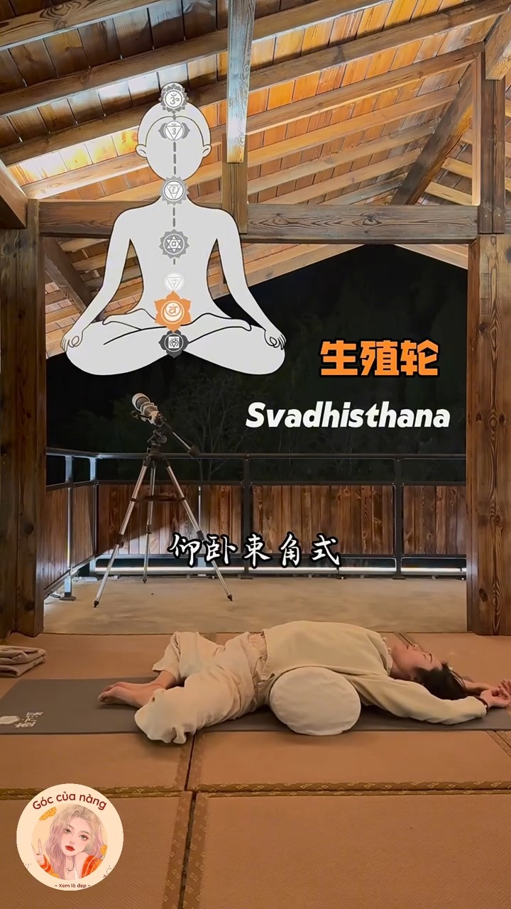 [🆕🇻🇳] THANH THÚY – hàng hiệu xuất khẩu 👕 Top1Fashion 👗  Cuối tuần mấy chị vào săn hàng mới với em nhaa  , shares-0✔️ , likes-0❤️️ , date-2025-09-21 01:28:56🇻🇳🇻🇳🇻🇳📰🆕