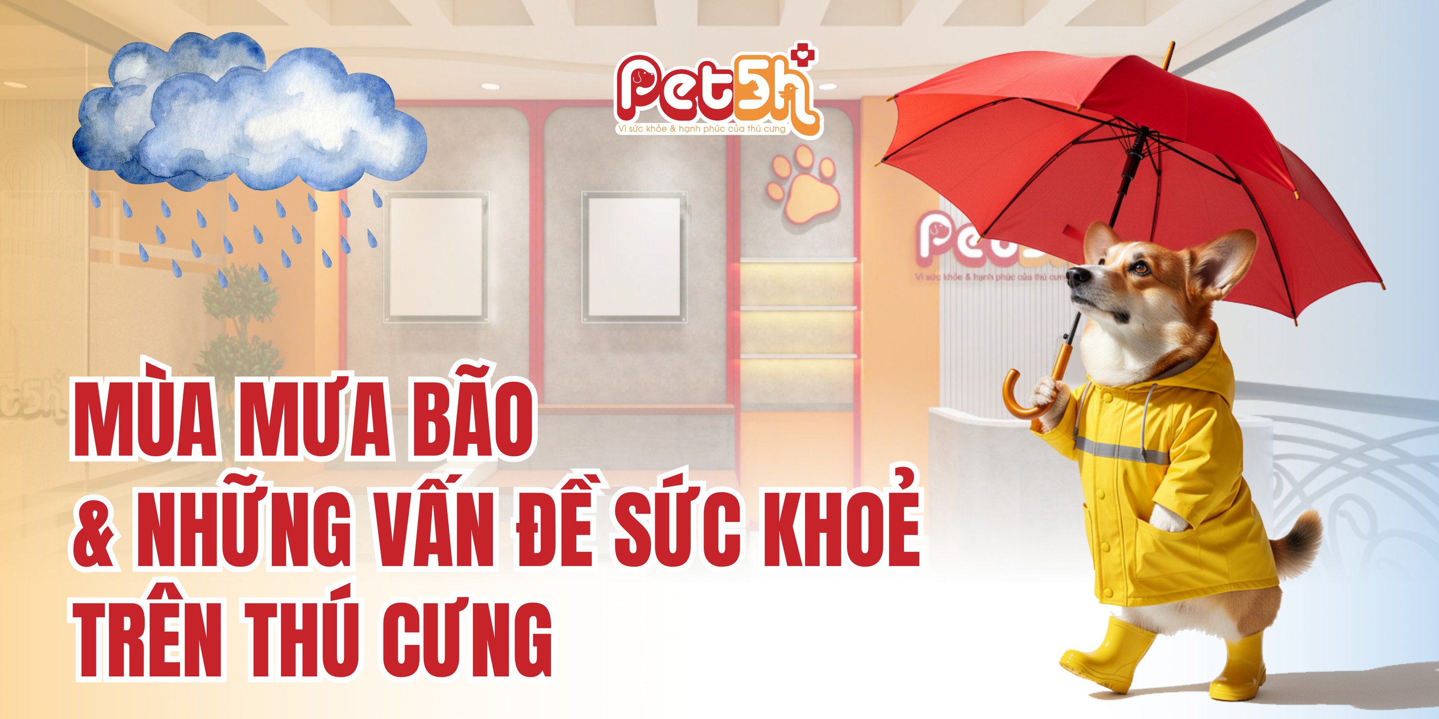 [🆕🇻🇳] Pet5H Veterinary System – Hệ Thống Thú Y Pet5H 🐶🦜 Top1Pets 🐱🐠  Mùa mưa bão & những nguy cơ sức khỏe tiềm ẩn đối với thú cưngMùa mưa bão không chỉ mang theo những cơn mưa to, gió lớn gây thiệt hại về vật chất và tinh , shares-1✔️ , likes-1❤️️ , date-2025-09-22 20:54:51🐶🐱🇻🇳🇻🇳🇻🇳📰🆕