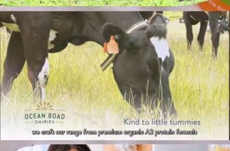 [🆕🇻🇳]  Shop Bé Con – Trọn Gói Đồ Sơ Sinh 🧑‍🧒❤️️👶⭐️  𝐒𝐔̛̃𝐀 𝐎𝐑𝐆𝐀𝐍𝐈𝐂 𝐎𝐂𝐄𝐀𝐍 𝐑𝐎𝐀𝐃 𝐃𝐀𝐈𝐑𝐈𝐄𝐒 – 𝐂𝐇𝐔𝐀̂̉𝐍 𝐃𝐈𝐍𝐇 𝐃𝐔̛𝐎̛̃𝐍𝐆 𝐇𝐔̛̃𝐔 𝐂𝐎̛ 𝐂𝐇𝐎 𝐁𝐄́ 𝐘𝐄̂𝐔
Mẹ đang tìm kiếm sữa công thức an toàn, dinh dưỡng tối ưu cho bé? Ocean R , shares-0✔️ , likes-0❤️️ , date-2025-09-23 15:01:24🇻🇳🇻🇳🇻🇳📰🆕