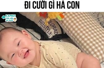 [🆕🇻🇳] Đồng Phục Gạo House – Là Xưởng sản xuất Áo Gia Đình, Áo Doanh Nghiệp, Công Ty, Áo Lớp, Áo Bảo Hộ… 👕 Top1Fashion 👗  Không ngủ đi mà cười gì hả bạnCre: Mẹ bỉm trải lòng
#giadinh #aogiadinh #dongphucgiadinh #gaohouse #xuhuong
, shares-1✔️ , likes-2❤️️ , date-2025-09-25 05:15:04🇻🇳🇻🇳🇻🇳📰🆕