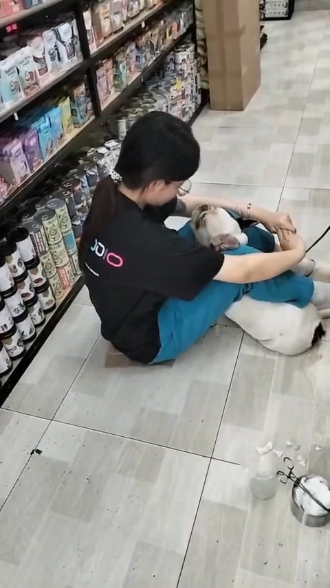 [🆕🇻🇳] Thú Y Ốc Nhỏ – 384 Nguyễn Chí Thanh. Quận 10 🐶🦜 Top1Pets 🐱🐠 Heo đi vệ sinh tai và tâm sự cùng chị petshop————————————————–
#thuyocnho #thuyquan10 #thucanchothucung #phongkhamthuy  , shares-0✔️ , likes-0❤️️ , date-2025-09-25 00:40:07🐶🐱🇻🇳🇻🇳🇻🇳📰🆕