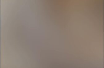 [🆕🇻🇳] Cắt Tỉa Lông Thú Cưng Bình Thạnh 🐶🦜 Top1Pets 🐱🐠 Ở BÌNH THẠNH – CẮT LÔNG CHÓ MÈO Ở ĐÂU VỪA RẺ VỪA XINH ????
Địa chỉ : 64 Đường số 3, Cư Xá Chu Văn An, P.26, Q. Bình Thạnh.ƯU ĐÃI SIÊU HOT
– Phối #bic , shares-0✔️ , likes-0❤️️ , date-2025-09-26 15:19:11🐶🐱🇻🇳🇻🇳🇻🇳📰🆕