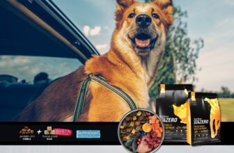 [🆕🇻🇳] BMPet – Premium Choice For Pet 🐶🦜 Top1Pets 🐱🐠  Nutrience Việt Nam  – Từ nông trại xanh đến bát ăn sạch của Boss!
Sen có bao giờ tự hỏi: “Hạt cho Boss của mình được làm từ đâu?”Với Nutrience, mỗi vi , shares-0✔️ , likes-23❤️️ , date-2025-09-28 16:04:04🐶🐱🇻🇳🇻🇳🇻🇳📰🆕