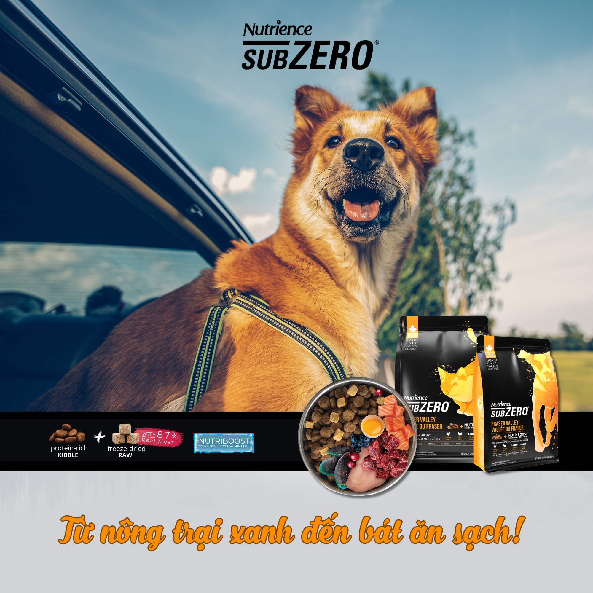 [🆕🇻🇳] BMPet – Premium Choice For Pet 🐶🦜 Top1Pets 🐱🐠  Nutrience Việt Nam  – Từ nông trại xanh đến bát ăn sạch của Boss!
Sen có bao giờ tự hỏi: “Hạt cho Boss của mình được làm từ đâu?”Với Nutrience, mỗi vi , shares-0✔️ , likes-23❤️️ , date-2025-09-28 16:04:04🐶🐱🇻🇳🇻🇳🇻🇳📰🆕