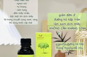 [🆕🇻🇳] Shop Bé Khỏe Mẹ Vui _ Nha Trang 🧑‍🧒❤️️👶⭐️ SIRO HARKER XANH LÁ – TAI MŨI HỌNG CHO BÉ TỪ SƠ SINH
𝐁𝐞́ 𝐧𝐚̀𝐨 𝐯𝐮̛̀𝐚 𝐌𝐮̃𝐢 – 𝐯𝐮̛̀𝐚 𝐇𝐨 – 𝐕𝐢𝐞̂𝐦 𝐡𝐨̂ 𝐡𝐚̂́𝐩 𝐭𝐫𝐞̂𝐧 𝐝𝐮̀𝐧𝐠 𝐞𝐦 𝐇𝐚𝐜𝐤𝐞𝐫 𝐱𝐚𝐧𝐡 𝐥𝐚́ 𝐧𝐚̀𝐲 𝐬𝐢𝐞̂𝐮 𝐜𝐡𝐮𝐚̂̉𝐧 𝐧 , shares-1✔️ , likes-0❤️️ , date-2025-09-30 03:30:40🇻🇳🇻🇳🇻🇳📰🆕