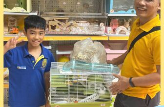 [🆕🇻🇳] Hamster Kingdom Thủ Đức 🐶🦜 Top1Pets 🐱🐠  𝐌𝐨̂̃𝐢 𝐛𝐞́ 𝐡𝐚𝐦𝐬𝐭𝐞𝐫 – 𝐦𝐨̣̂𝐭 𝐧𝐠𝐨̂𝐢 𝐧𝐡𝐚̀ 𝐫𝐢𝐞̂𝐧𝐠Dù bạn thích sự trong veo của lồng mica hay sự chắc khỏe của lồng sắt. Tại Hamster Kingdom, bạn có thể chọn t , shares-0✔️ , likes-0❤️️ , date-2025-09-28 14:00:40🐶🐱🇻🇳🇻🇳🇻🇳📰🆕