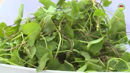 [🆕🇻🇳] Shop Phúc Khang – Sữa Bỉm – Đồ sơ sinh 🧑‍🧒❤️️👶⭐️ Nhu1eefng bu00e0i thuu1ed1c hay tu1eeb rau mu00e1.n#hungyen #truyenhinhhungyen #tintuchungyen #hytv”,”ranges”:[{“offset”:31,”length”:8,”entity”:{“__t , shares-0✔️ , likes-0❤️️ , date-2019-07-16 16:47:44🇻🇳🇻🇳🇻🇳📰🆕