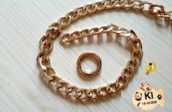 [🆕🇻🇳] Phụ Kiện Dành Cho Thú Cưng Chó-Mèo Thỏ 🐶🦜 Top1Pets 🐱🐠 Mua Thẻ Khắc Tên Thú Cưng Ở Đâu?Thú cưng từ trước đã khá thân quen với chúng ta, hình ảnh những chú cún-mèo được nuôi ở cùng một ngôi nhà dường như không , shares-0✔️ , likes-1❤️️ , date-2025-08-25 02:20:05🐶🐱🇻🇳🇻🇳🇻🇳📰🆕