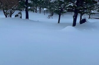 [🆕🇻🇳] Goguma Viet Nam 🧑‍🧒❤️️👶⭐️ Năm nay Hàn, Nhật tuyết rơi dày hàng mét , Việt Nam mình cũng lạnh tê tái.
Chỉ có những chiếc áo ấm này mới xua tan được cái lạnh thấu xương của Việt Nam  , shares-0✔️ , likes-5❤️️ , date-2021-01-13 22:29:36🇻🇳🇻🇳🇻🇳📰🆕