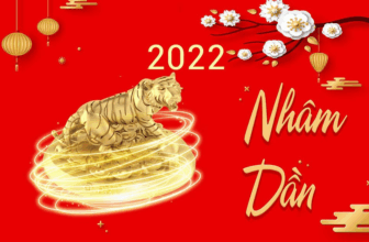 [🆕🇻🇳] Kids House – Quần áo trẻ em cao cấp 🧑‍🧒❤️️👶⭐️ Shop Đã làm việc trở lại để phục vụ Quý Khách yêu quý đây ạ
Một lần nữa SHOP xin kính chúc toàn thể Quý Khách hàng đã và đang ủng hộ cho shop, Chúc QUý Khá , shares-0✔️ , likes-66❤️️ , date-2022-02-08 15:54:23🇻🇳🇻🇳🇻🇳📰🆕