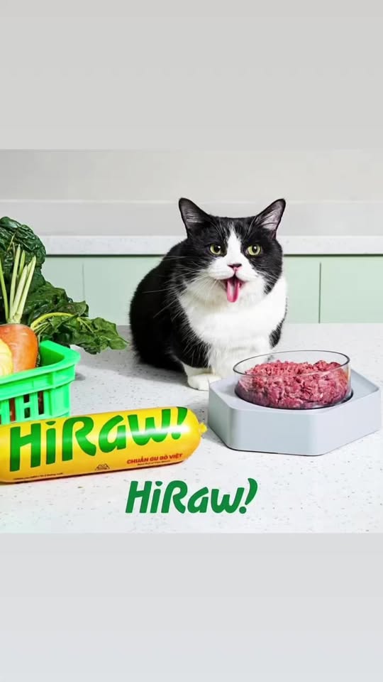 [🆕🇻🇳] DOCA PET 🐶🦜 Top1Pets 🐱🐠 THỊT BỔ DƯỠNG DÀNH CHO MÈOThịt bổ dưỡng tươi ngon, đảm bảo cung cấp nguồn dinh dưỡng và năng lượng tuyệt đối, để các “hoàng thượng” tha hồ….ngủ cả ngày , shares-0✔️ , likes-0❤️️ , date-2023-08-27 03:12:22🐶🐱🇻🇳🇻🇳🇻🇳📰🆕